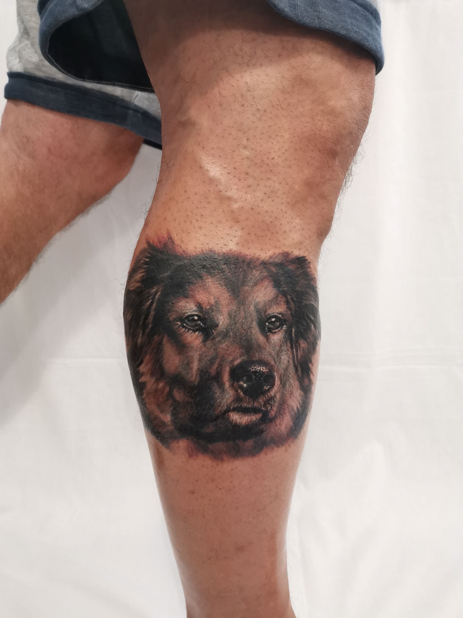 Állat tetoválás, Fekete fehér tetoválás, Portré tetoválás, Realisztikus tetoválás, Vádli tetoválás