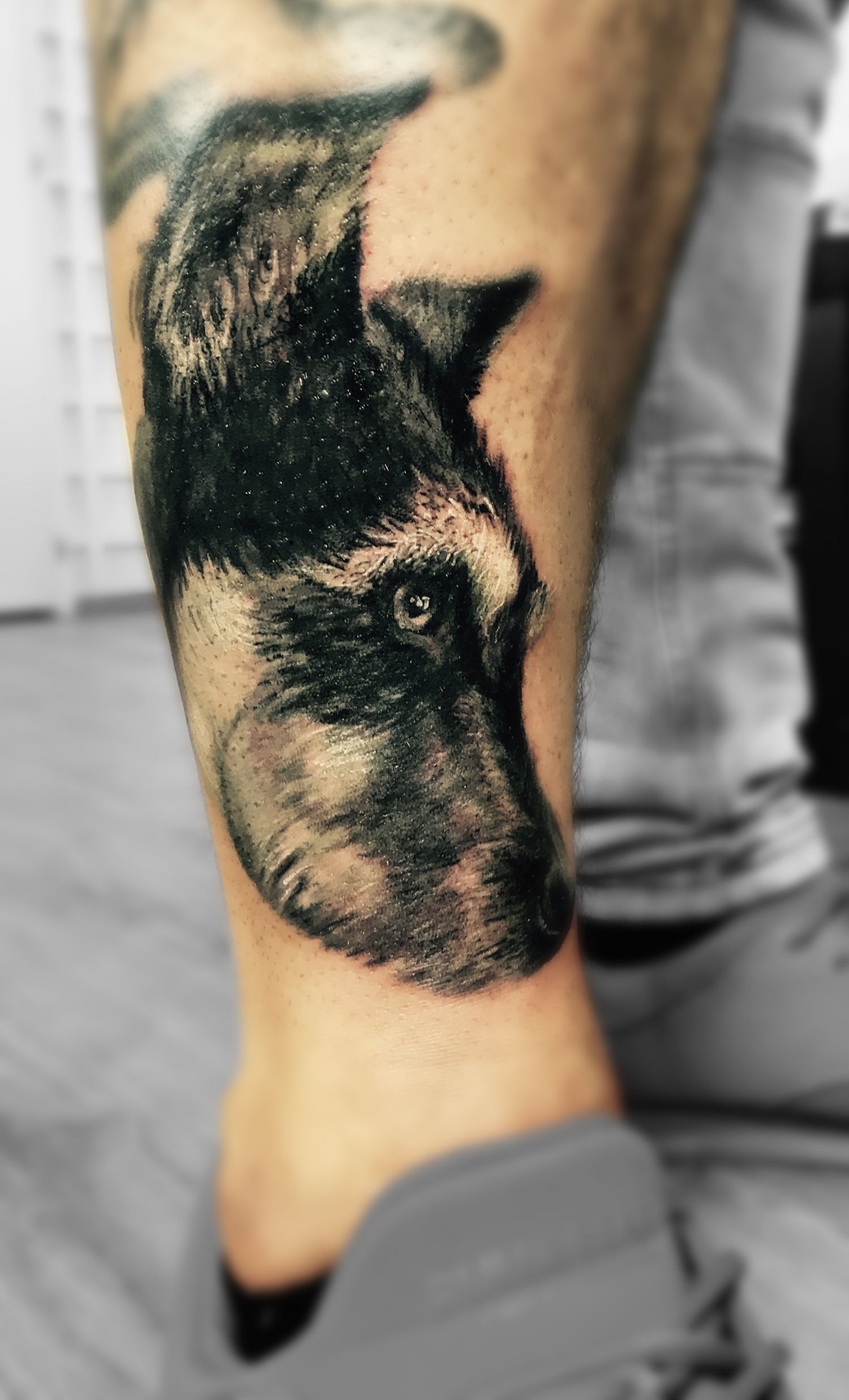 Állat tetoválás, Portré tetoválás, Vádli tetoválás