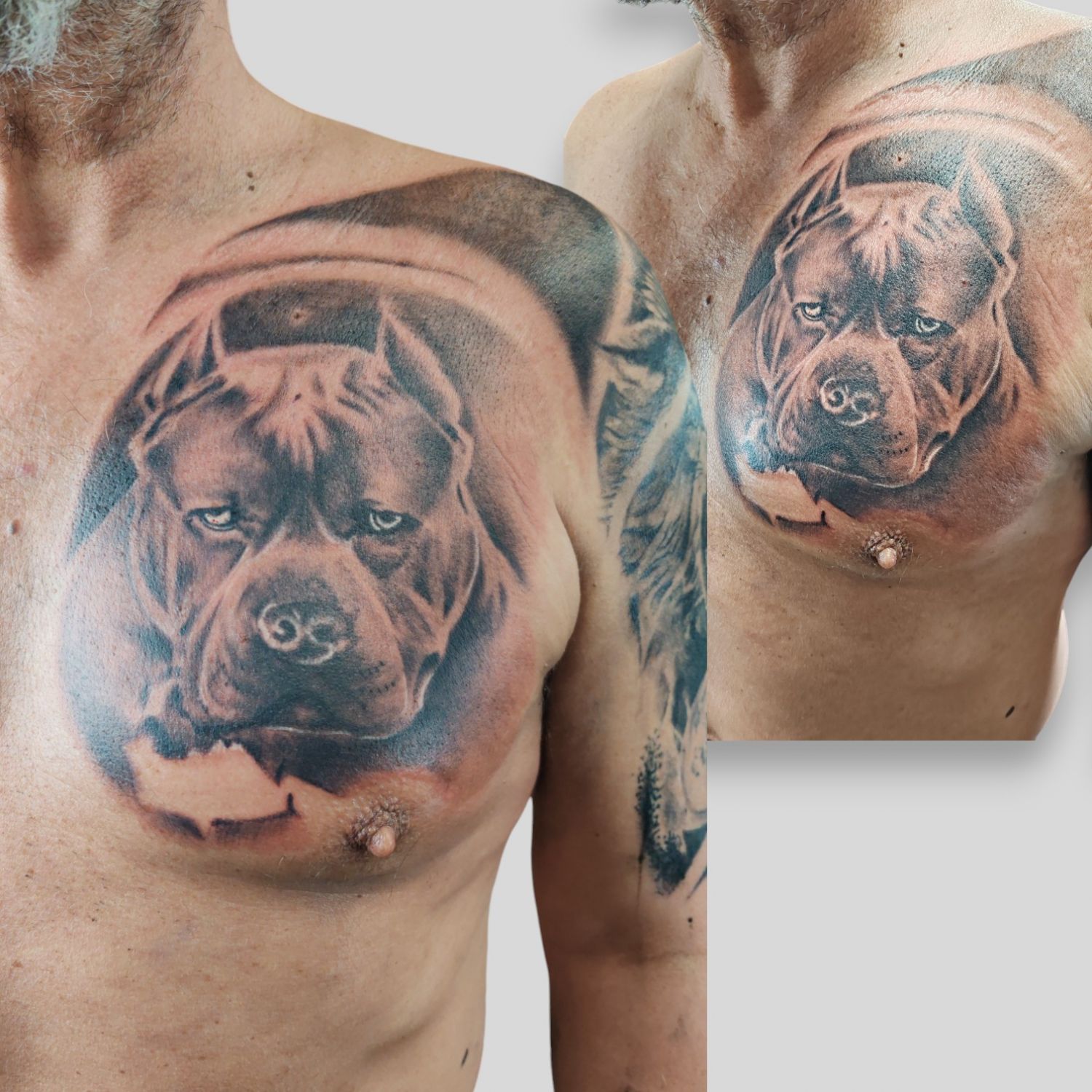 Állat tetoválás, Fekete fehér tetoválás, Mellkas tetoválás, Realisztikus tetoválás, Tetoválás minta