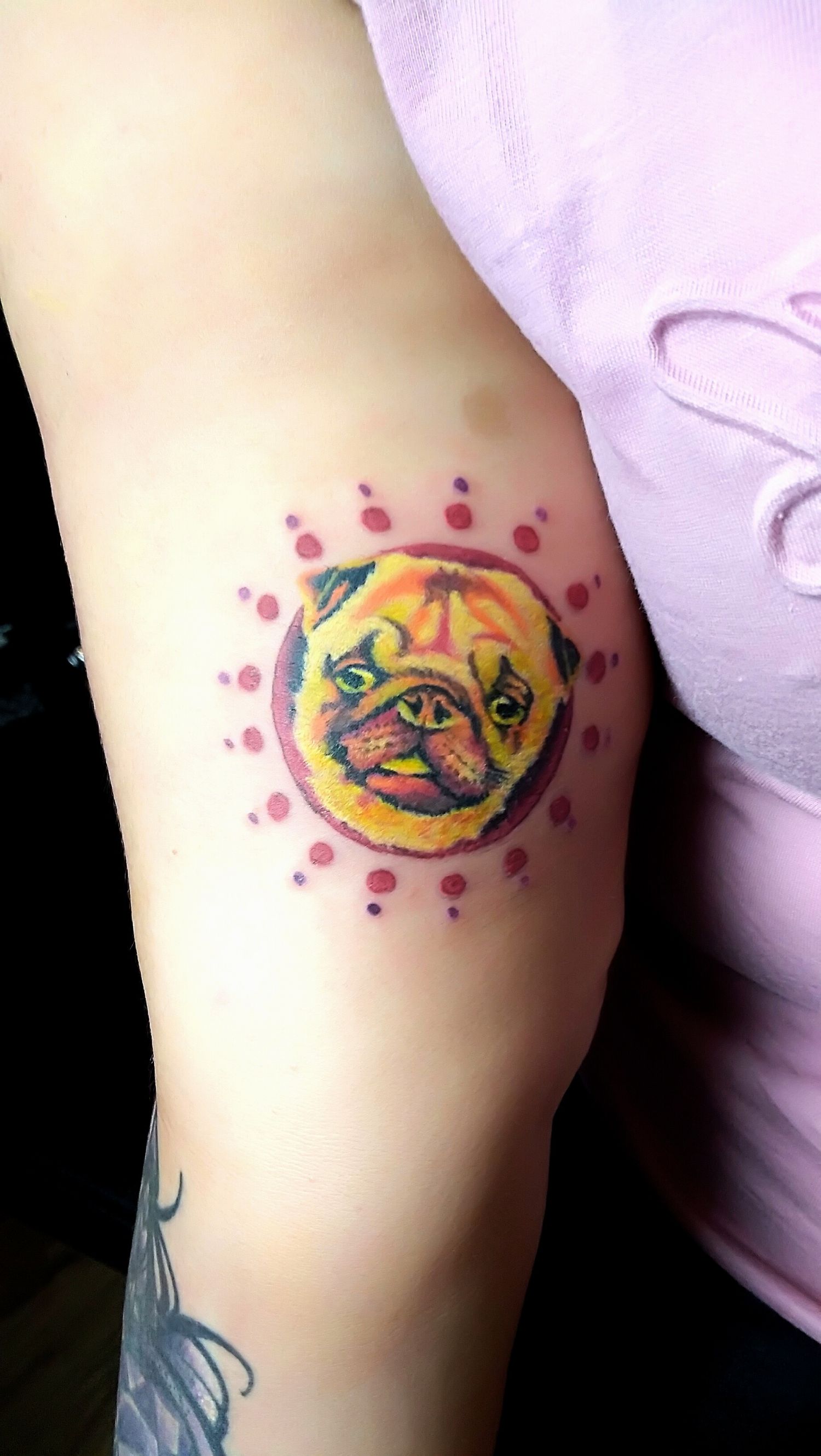Állat tetoválás, Fantázia tetoválás, Felkar tetoválás, Színes tetoválás