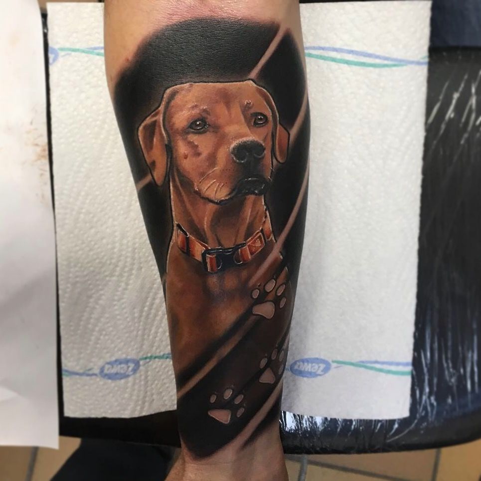 Alkar tetoválás, Állat tetoválás, Portré tetoválás, Realisztikus tetoválás, Színes tetoválás