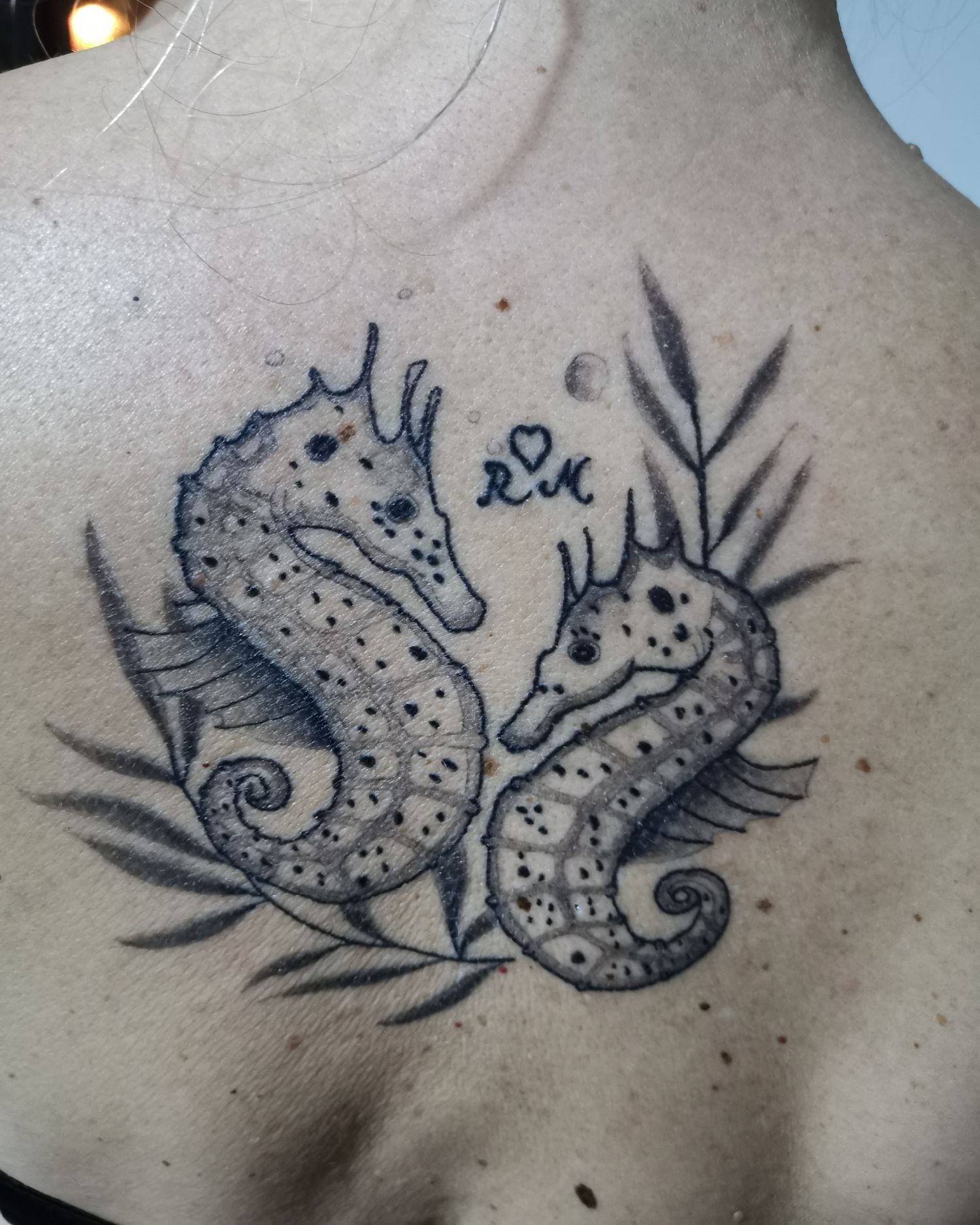 Állat tetoválás, Fantázia tetoválás, Hát tetoválás