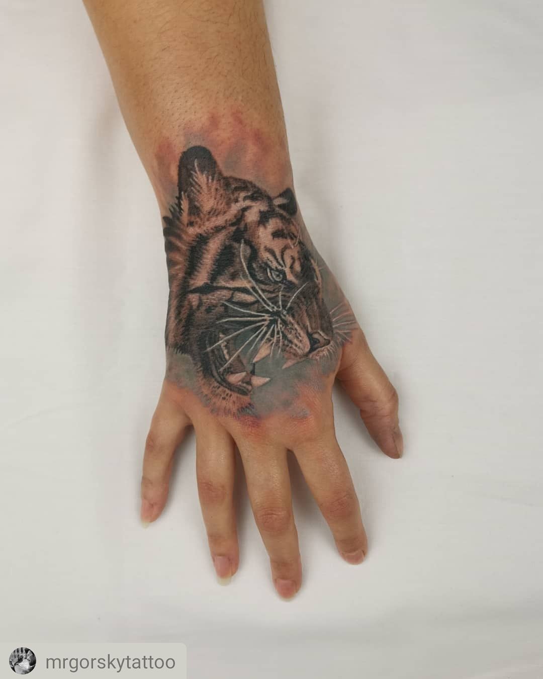 Állat tetoválás, Fekete fehér tetoválás, Kéz tetoválás, Orientális tetoválás, Portré tetoválás, Realisztikus tetoválás