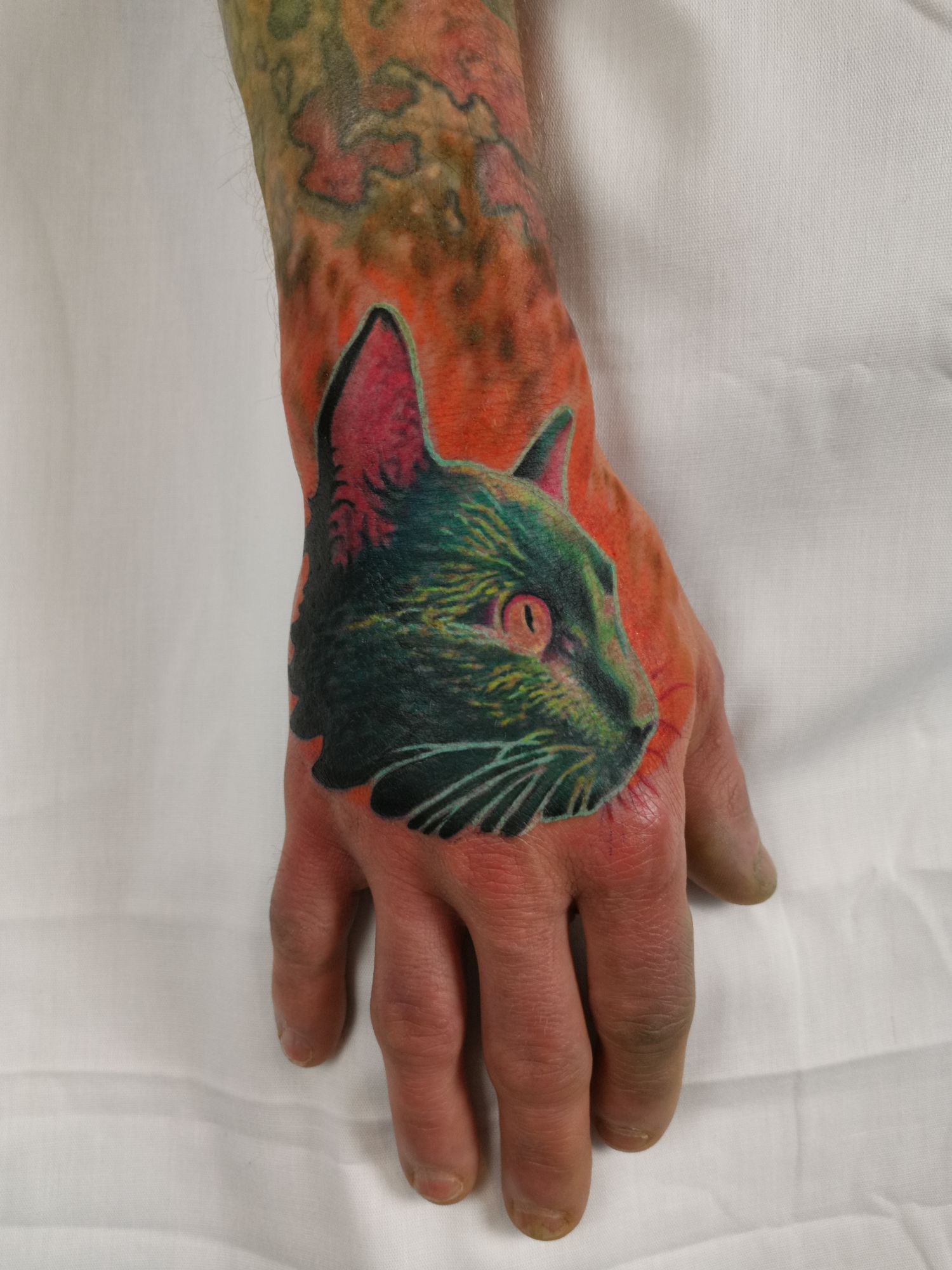 Állat tetoválás, Fantázia tetoválás, Képregény tetoválás, Kéz tetoválás, Realisztikus tetoválás, Színes tetoválás