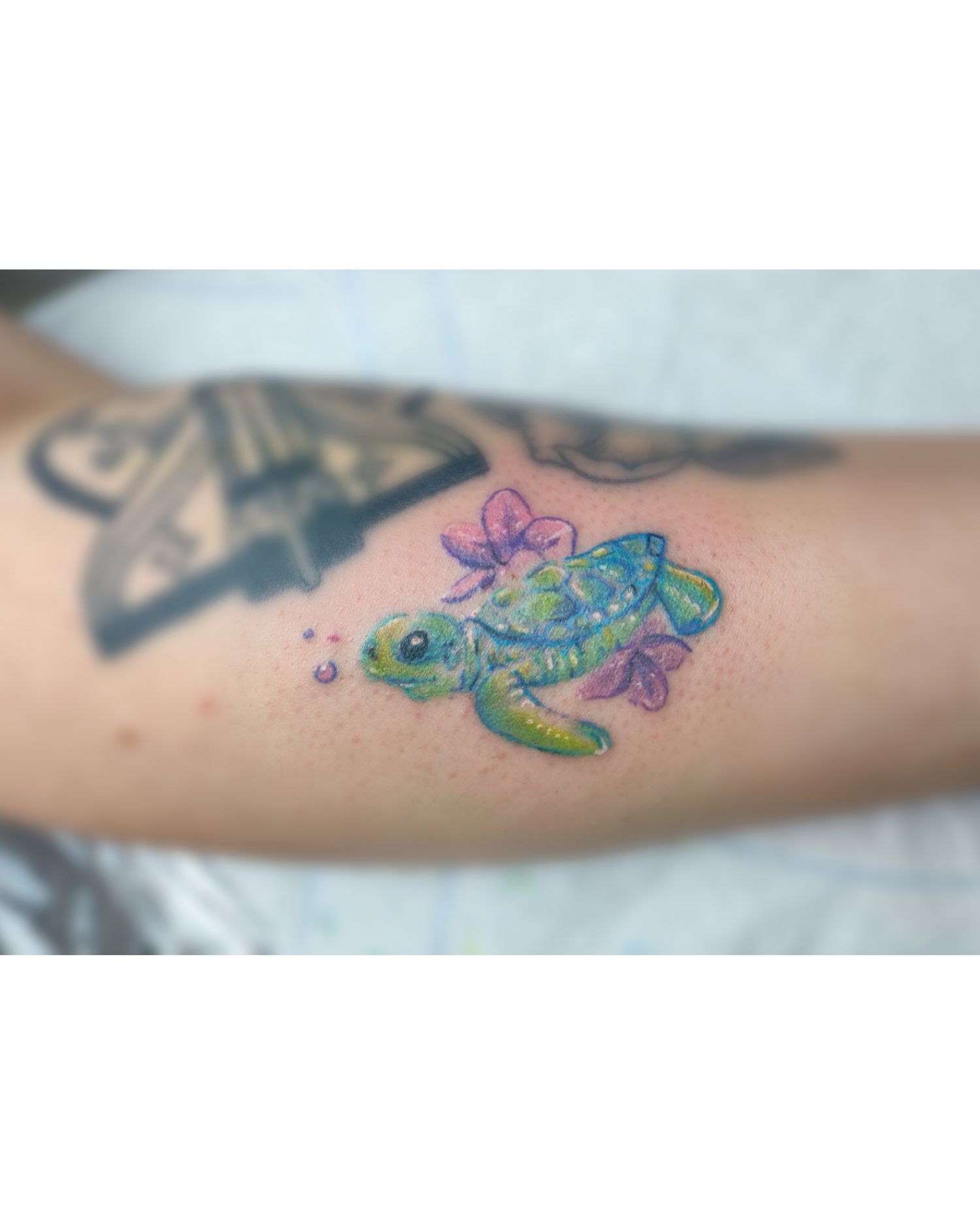 Alkar tetoválás, Állat tetoválás, Fantázia tetoválás, Színes tetoválás