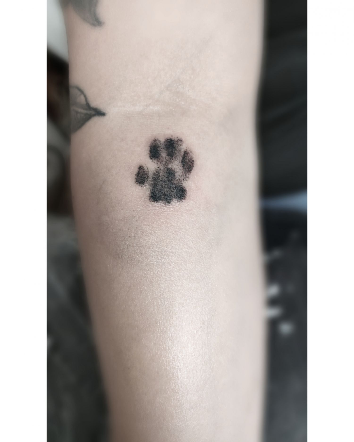 Alkar tetoválás, Állat tetoválás, Fantázia tetoválás, Fekete fehér tetoválás