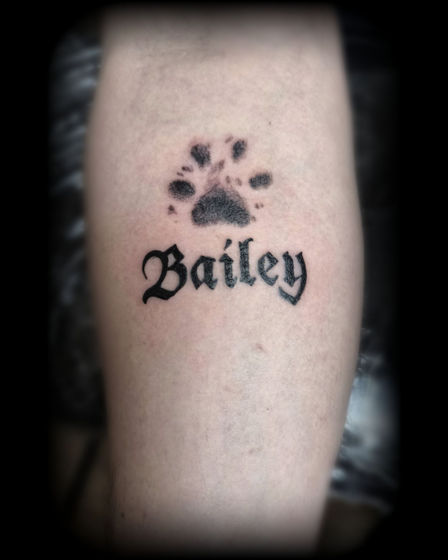 Alkar tetoválás, Állat tetoválás, Betűk, Fekete fehér tetoválás, Realisztikus tetoválás